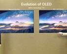 Die MLA-OLED-Panels von LG Display sind deutlich heller als die OLED.EX-Panels aus dem Vorjahr. (Bild: LG Display)