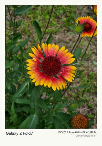 Samsung Galaxy Z Fold 7 mit kräftigem Farbprofil.