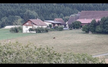 Gleiches Motiv, 12x herangezoomt