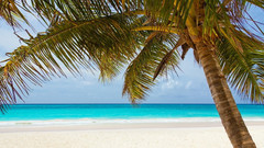 Social Media: Jeden Zweiten nerven Urlaubsbilder