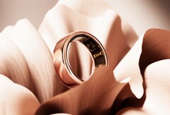 Oura hat seinen ersten komplett runden Ring vorgestellt, der dieselbe Technik wie der ältere Oura Gen 3 bietet. (Bild: Oura)