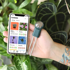 Der FYTA Beam erinnert ans Gießen und Düngen von Zimmerpflanzen. (Bild: FYTA)