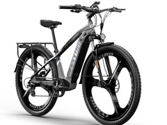 Speedy: E-Bike mit ungewöhnlicher Optik (Bildquelle: Cysum)