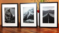 FrameLabs packt E-Ink-Panels in handelsübliche Bilderrahmen. (Bild: FrameLabs)