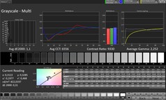 Graustufen (Farbmodus: Professionell, Zielfarbraum: sRGB)