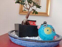 Aufnahme Frontkamera