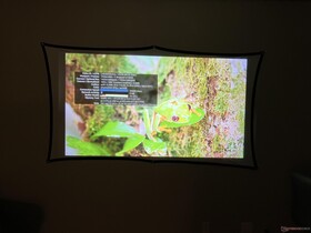 YouTube-Streaming ist sehr flüssig mit wenigen Bildaussetzern