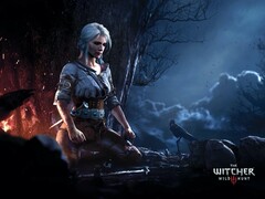 Um das gesamte Witcher-Universum nachzuholen sollte man einige Monate einplanen. (Bild: CD Project Red)