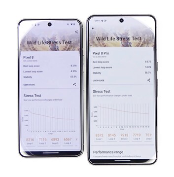 3DMark Wild Life Stresstest (Bild: PBKreviews)