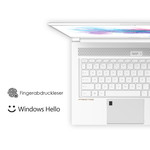Fingerprint mit Windows-Hello-Support (Quelle: MSI)
