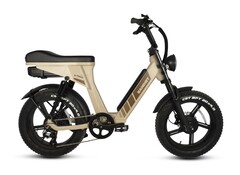 Das Bandit X-Trail Pro verspricht eine enorme Leistung dank Dual-Motor. (Bild: Bandit Bikes)