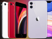 Apple: Verkaufsrekord für iPhone 11 und iPhone SE im 3. Quartal.