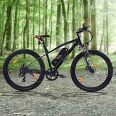 Dieses E-Mountainbike gibt es bei Aldi im Angebot