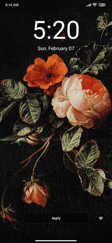 Rijksmuseum: Elias van den Broeck