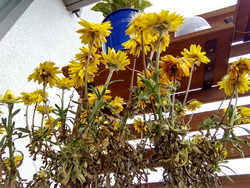 Aufnahme Frontkamera