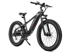 Freedare Saiga: Gut ausgestattetes, günstiges E-Bike