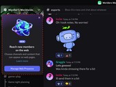 Discord-Screenshot