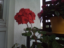 Aufnahme Frontkamera