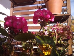 Aufnahme Frontkamera