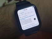 Der Samsung Internet Browser für die Galaxy Watch4 lässt sich auch auf Smartwatches mit älterem Wear OS nutzen. (Bild: Reddit)