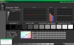 Graustufen vor der Kalibrierung (P3)