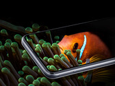 Das Samsung Galaxy F52 5G bietet ein 120 Hz schnelles 1.080p+-Display. (Bild: Samsung)