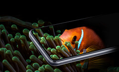 Das Samsung Galaxy F52 5G bietet ein 120 Hz schnelles 1.080p+-Display. (Bild: Samsung)
