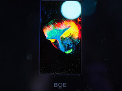 Demografik auf BOEs kleinem QLED-Display. (Foto: Andreas Sebayang/Notebookcheck.com)