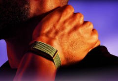 Garmin soll bald eine Alternative zum abgebildeten Polar Loop auf den Markt bringen.