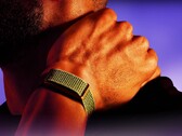 Garmin soll bald eine Alternative zum abgebildeten Polar Loop auf den Markt bringen.