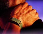 Garmin soll bald eine Alternative zum abgebildeten Polar Loop auf den Markt bringen.