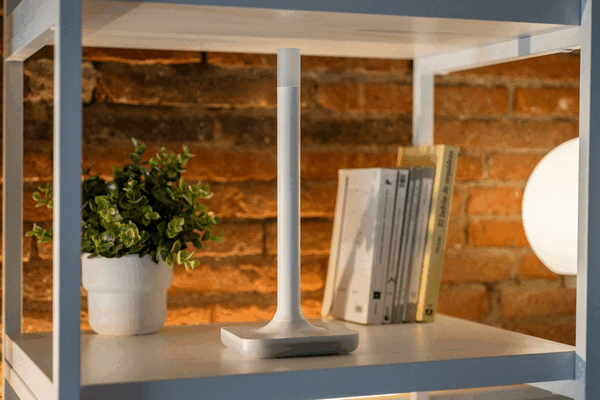 Ein weiterer Blick auf die neue Antenne. (Bildquelle: Home Assistant)