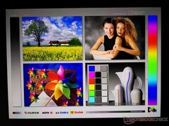 Große OLED-Betrachtungswinkel. Die bläuliche Regenbogenfarbe aus weiten Blickwinkeln ist charakteristisch für ein OLED-Panel