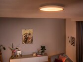 Die neuen Philips Hue Aurelle Deckenleuchten (siehe Bild) sollen günstiger sein als die bisherigen Originalmodelle. (Bildquelle: Philips Hue)