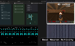 Menschliche Gehirnzellen auf Chip spielen Doom