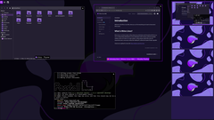 Rhino Linux 2026.1 jetzt verfügbar