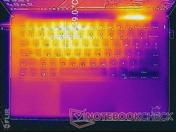 maximale Last (Oberseite)