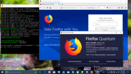 Firefox in Bash unter Ubuntu unter Windows (puh ...)