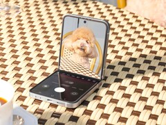 Einem Bericht aus Südkorea zufolge bekommen nur Südkoreaner das Galaxy Z Flip7 mit Exynos 2500. (Bildquelle: Samsung)