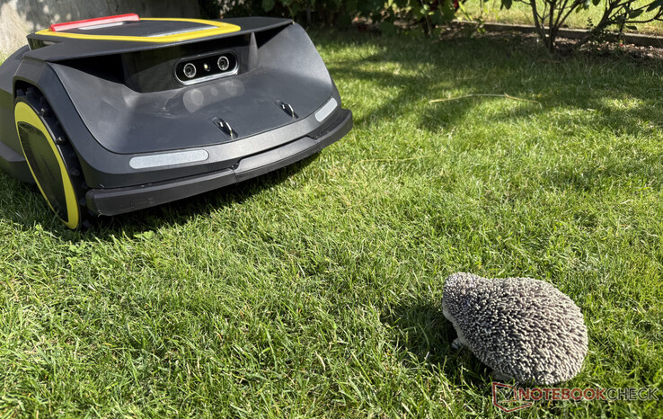 Unsere Igel-Attrappe hat der Kärcher RCX 6 im Test zuverlässig erkannt