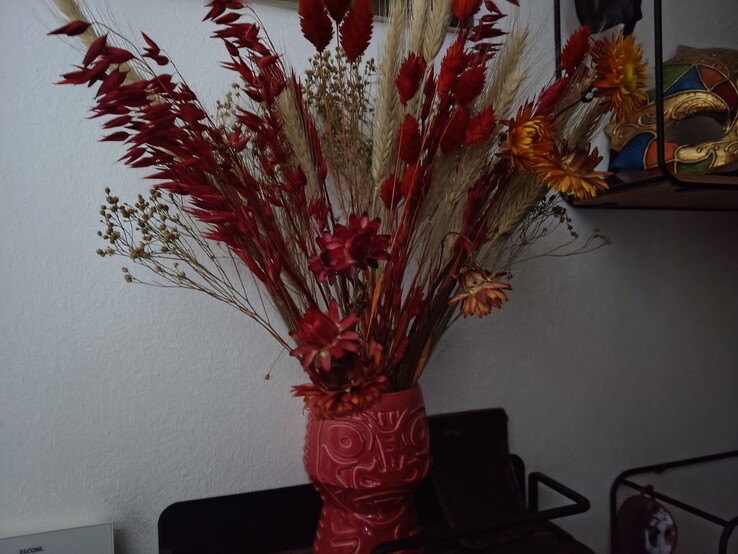 Aufnahme Hauptkamera 50 Megapixel