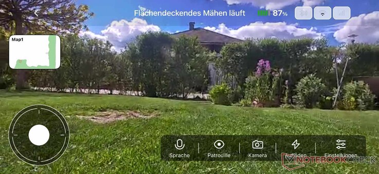 Live-Video aus dem Garten