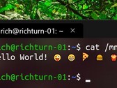 Das neue Terminal wird ein ganzes Stück hübscher, und das nicht nur dank des Emoji-Supports. (Bild: Microsoft)