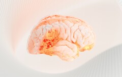 Das Interesse an der KI von OpenAI lässt nach. (Bild: Kommers)