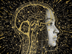 So ähnlich oder ganz anders, vielleicht viel simpler ist ein künstliches neurales Netz aufgebaut. (Bild: pixabay/geralt)