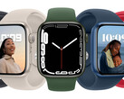Der Markt für Wearables wie die Apple Watch boomt - auch in Deutschland.