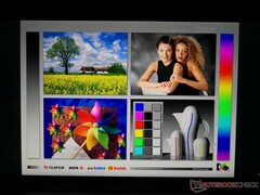 Breite IPS-Blickwinkel. Farben und Kontrast verändern sich bei sehr breiten Winkeln leicht