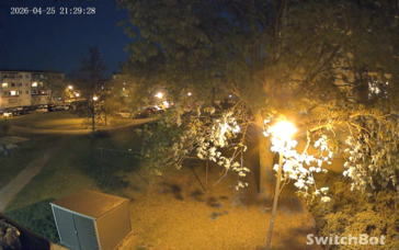 Auch in der Nacht sind farbige Aufnahmen realisierbar, wenn eine gewisse Beleuchtung in der Umgebung vorhanden ist