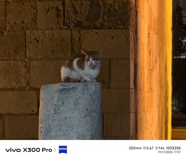 Vivo X300 Pro 200mm ohne Tele-Konverter.