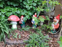 Xiaomi M Mix 3 - Photo-Modus